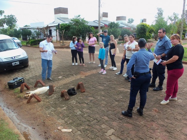 Denuncian matanza de animales en barrio de Posadas - Primera Edicion