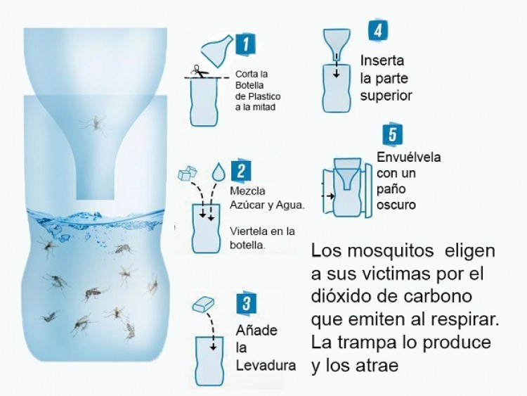 Trampa casera y ecológica para mosquitos CON VIDEO Primera Edición