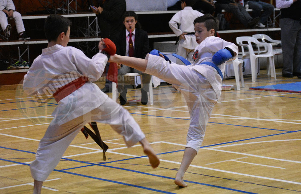 Los beneficios del karate do en los chicos Primera Edición
