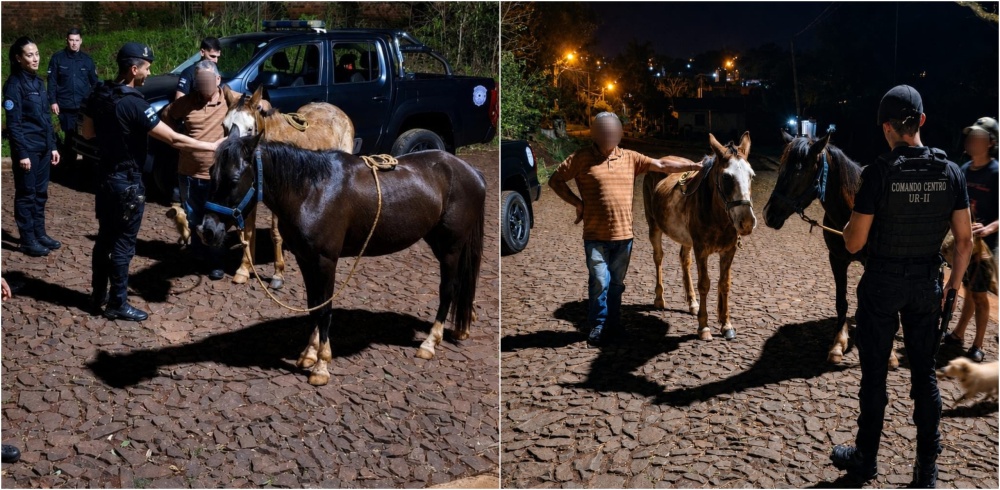 “Gaucho” y “Bayo” regresaron a su hogar tras ser robados en Oberá