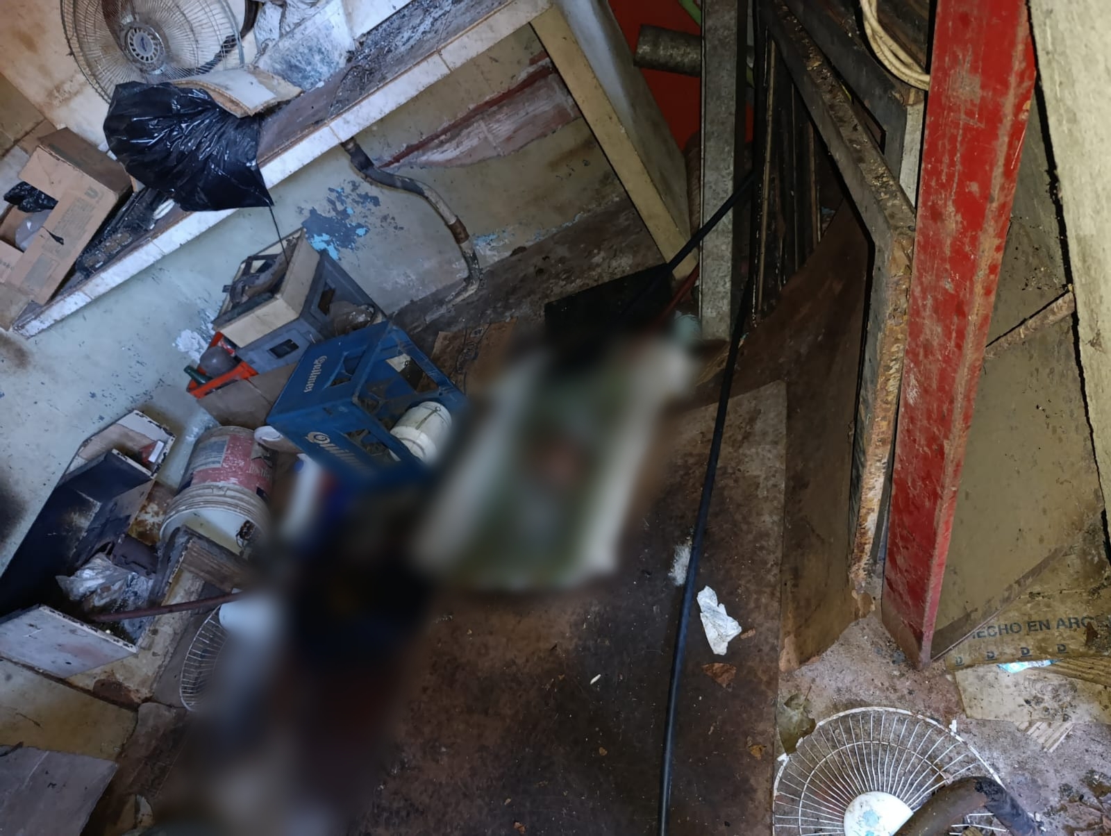 Encontraron a un hombre muerto en Posadas y peritan lesiones compatibles con mordeduras de perros