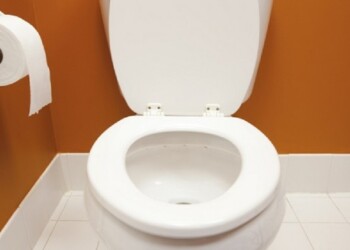 Para pensar: se conmemora el Día del Inodoro