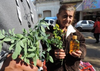 Caña con ruda: ¿tradición del litoral, herencia guaraní o panacea universal?