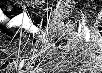 Archivos policiales: a 23 años del salvaje asesinato de una remisera posadeña en Encarnación