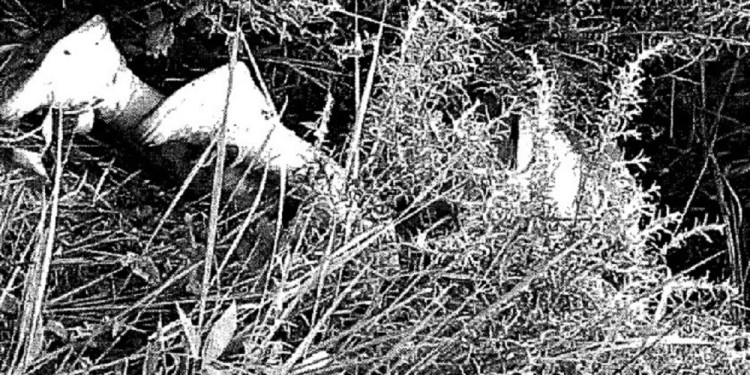 El cuerpo de la mujer fue encontrado al costado de un camino, a unos mil metros de su remís