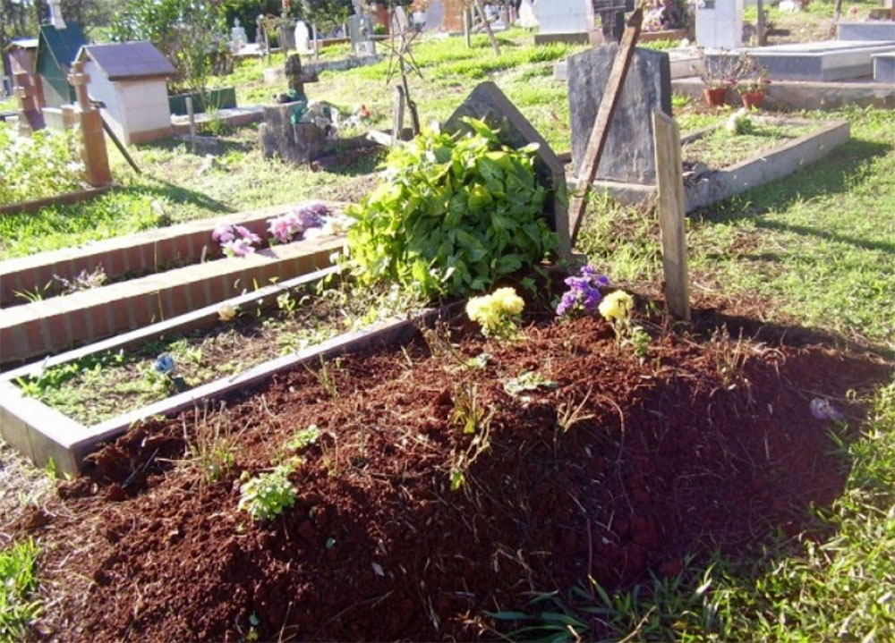 Después de más de una década de colapso, ampliarán el cementerio de San Vicente