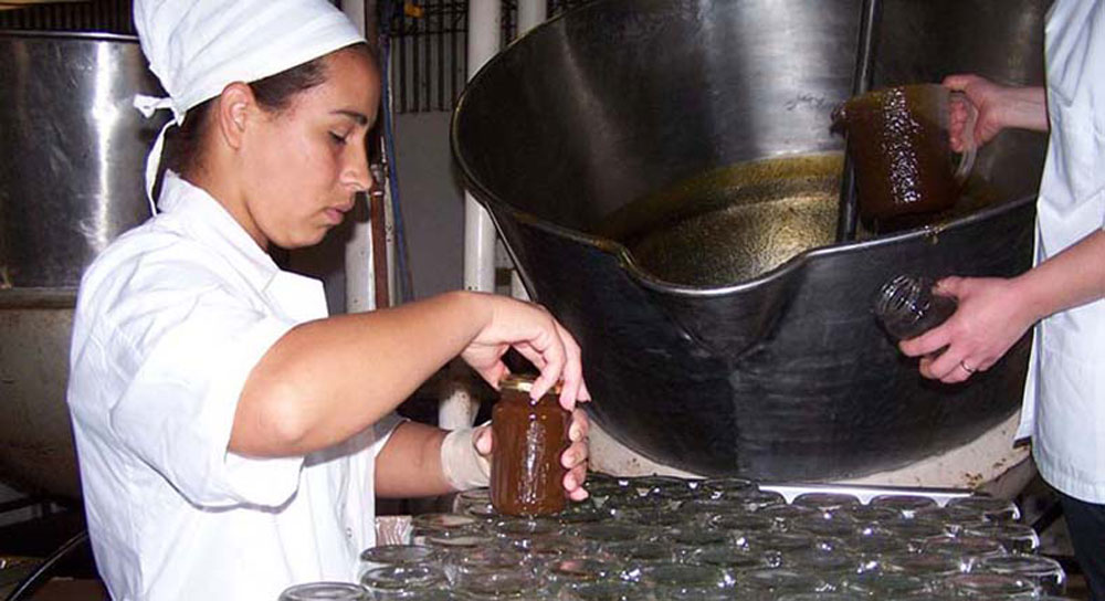 Aconsejan recorrer lotes para prevenir daños del bicho torito