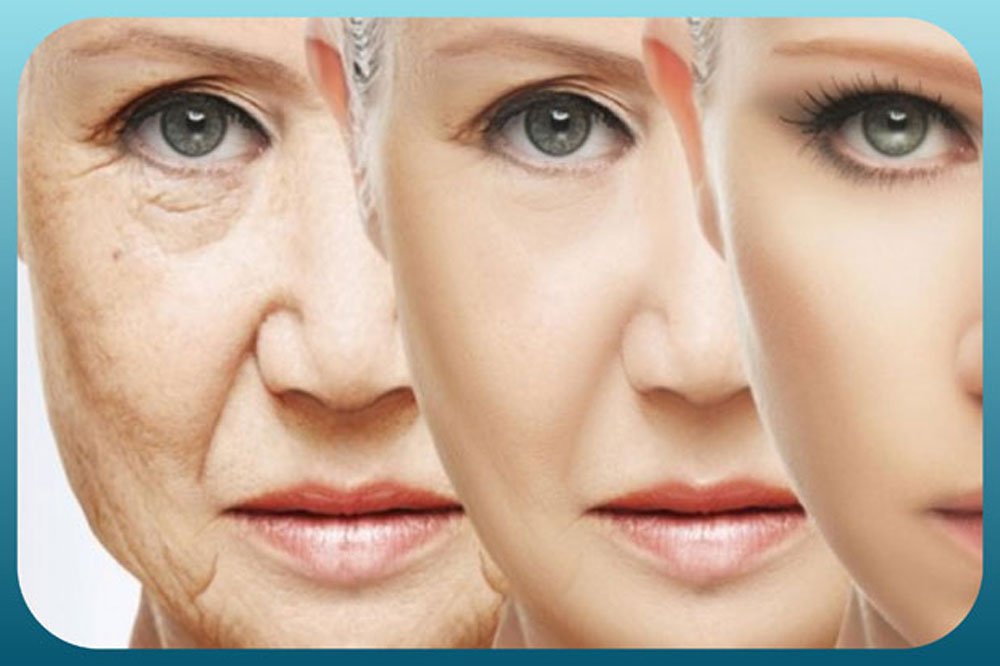 Pamelas: El Royal Ascot de Megan