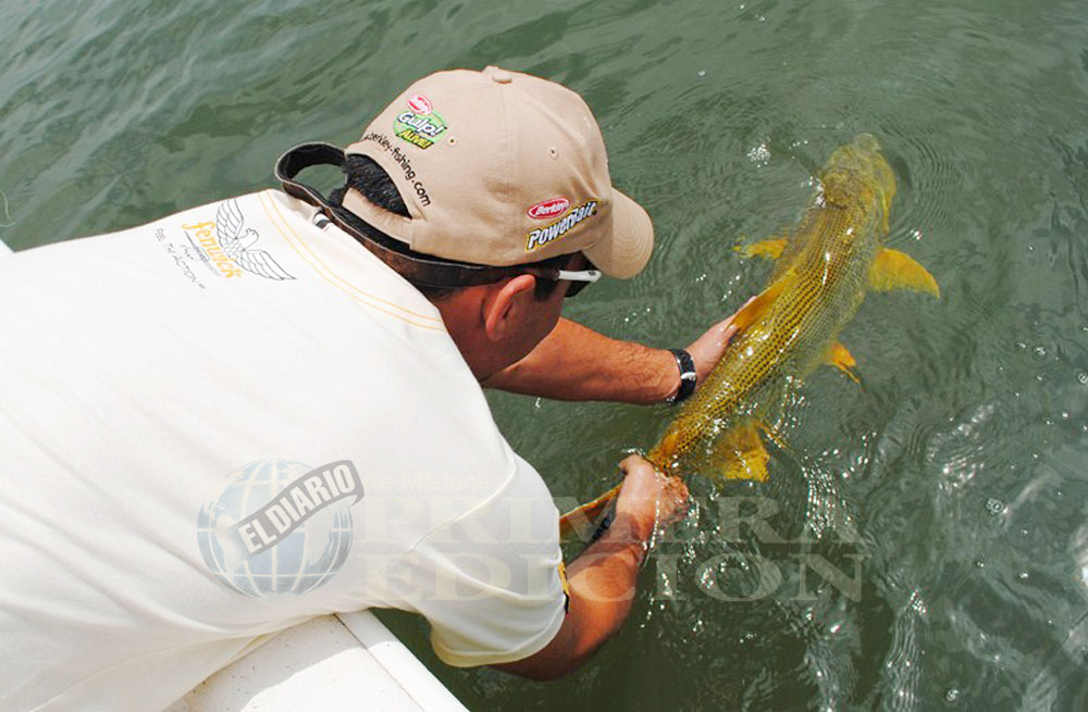 Pesca del Surubí: Últimos días para inscribirse con descuento