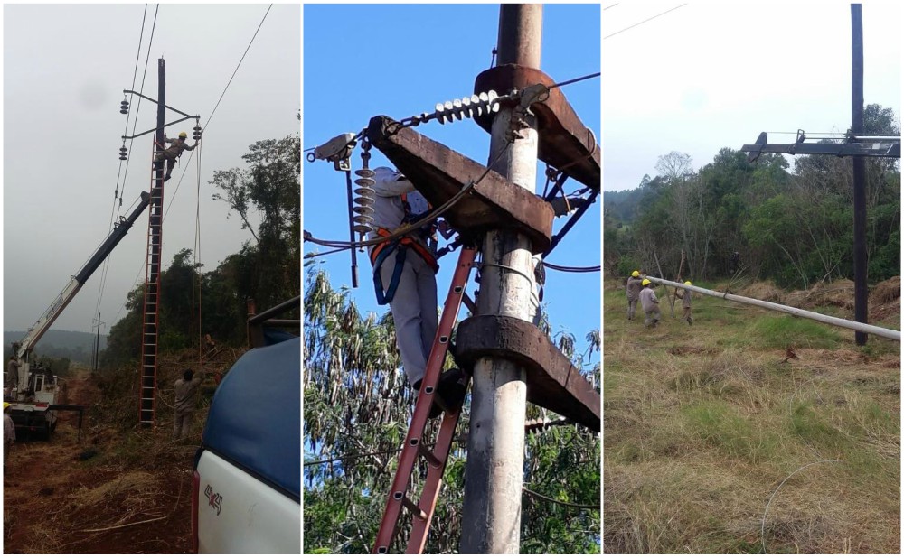 EMSA repone cientos de postes en la línea Wanda-Andresito