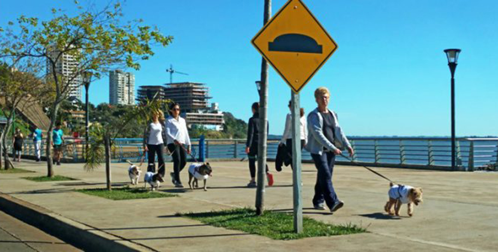 Promueven instalación de bebederos para perros en la costanera