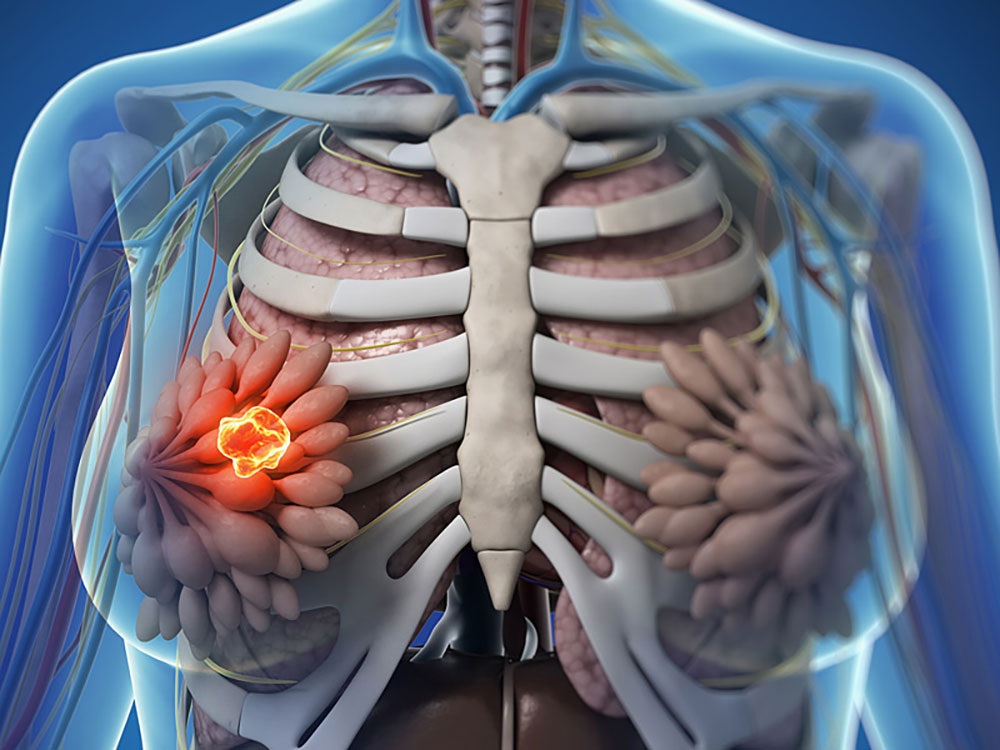 Jornadas de endocrinoterapia en el Hospital Madariaga