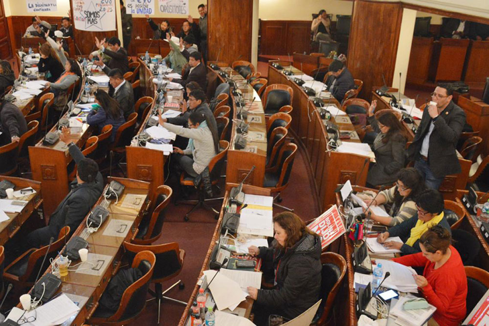 Bolivia: aprueban ley que autoriza primarias para elección presidencial