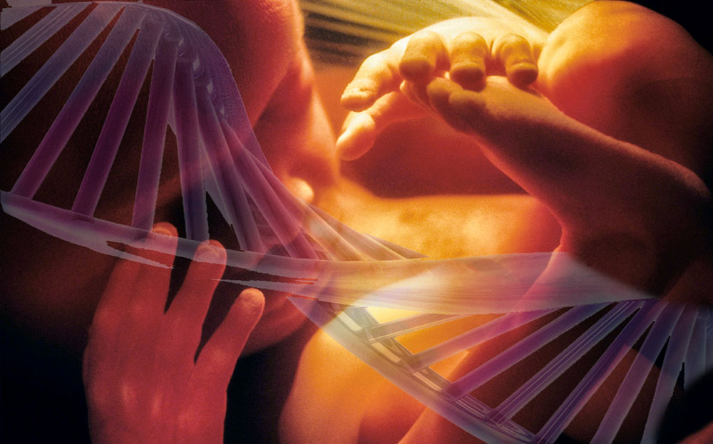 Estrés prenatal puede dejar huellas en el ADN de la descendencia