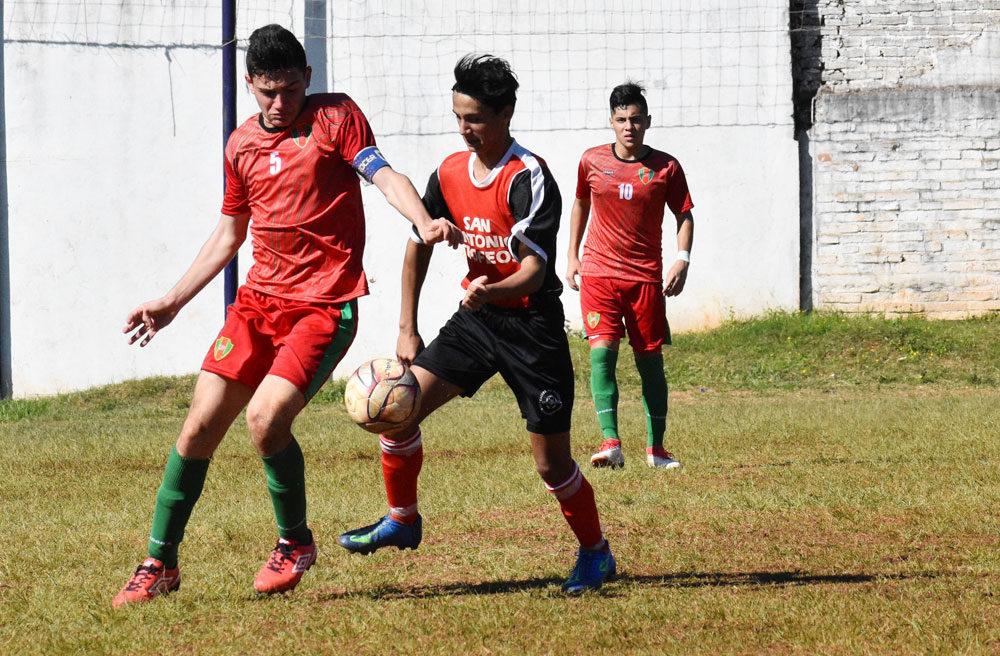 Nuevo encuentro infantil en canchas de la Federación