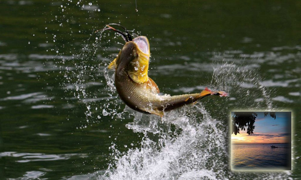 En Capitán Meza: El festejo fue para Bella Vista