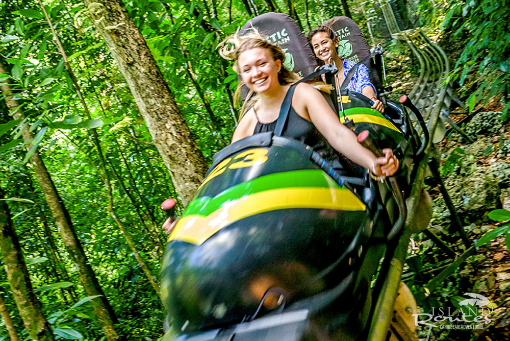 La Fiesta en la Región NEA