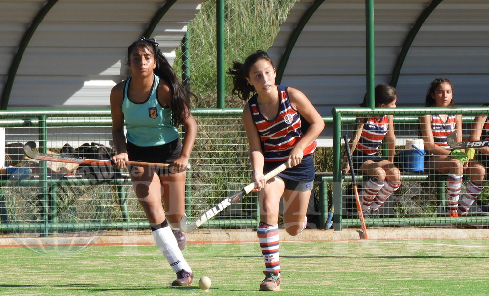 Nuevo encuentro infantil en canchas de la Federación