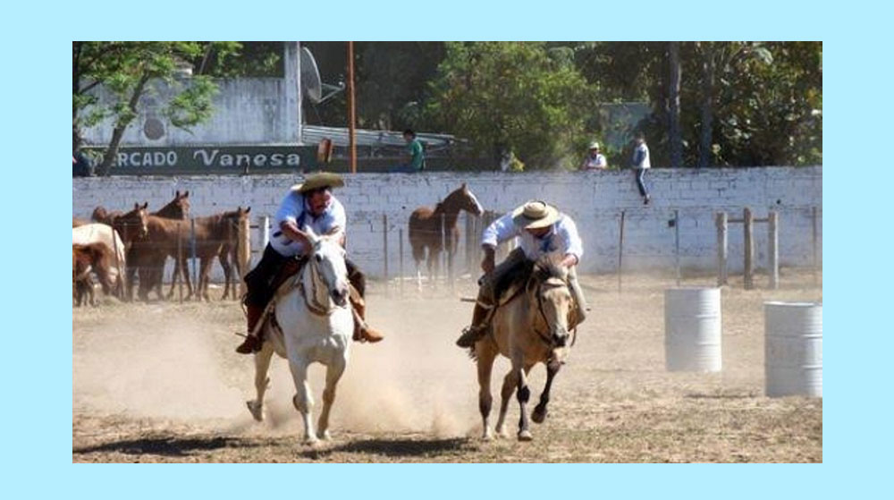La Fiesta en la Región NEA
