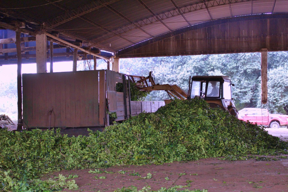 Volvió a funcionar la Cooperativa de yerba de Concepción de la Sierra