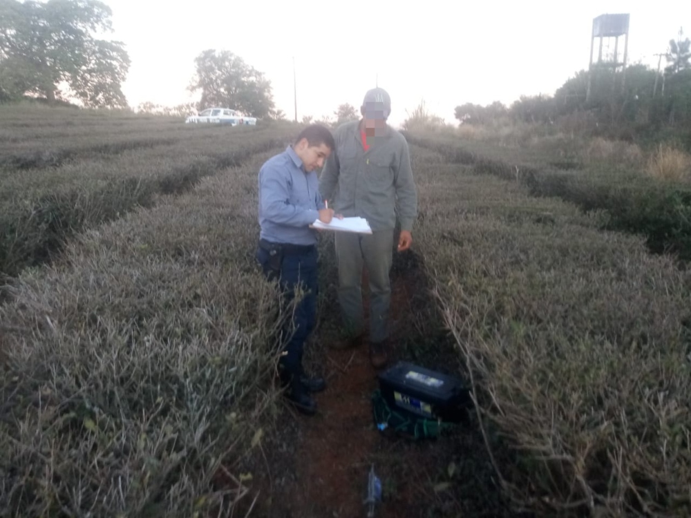 Robó una batería de camión y terminó tras las rejas