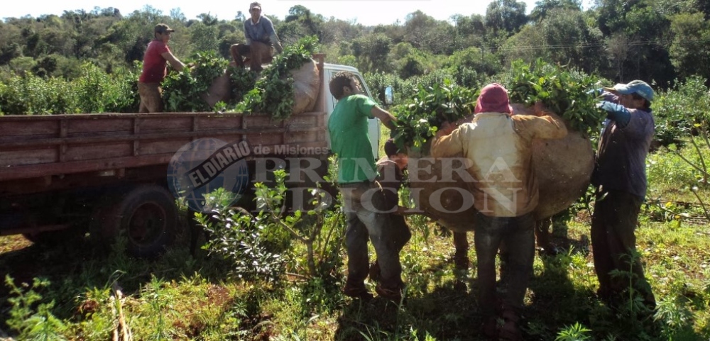 FOL convocó a tareferos para reclamar por el interzafra
