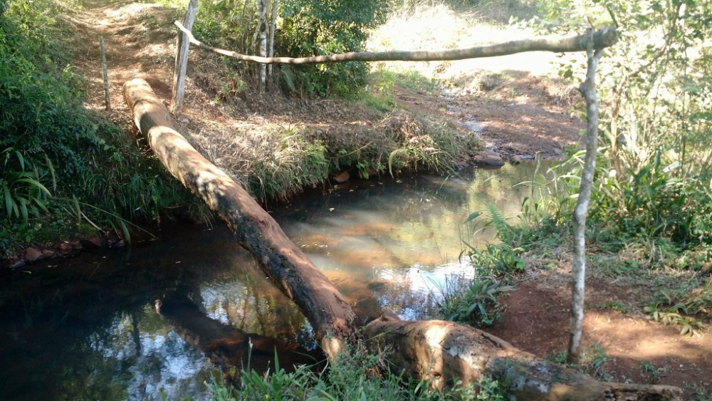 Amnistía Internacional exige la construcción de puentes en San Vicente
