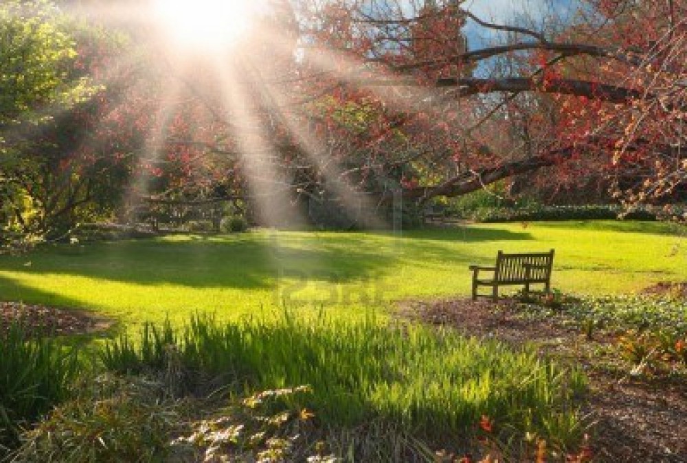 Disfrutando el presente