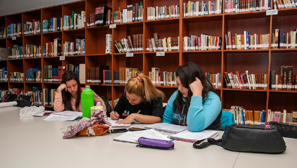 Bibliotecarios: Capacitación gratuita en la Biblioteca del Parque del Conocimiento