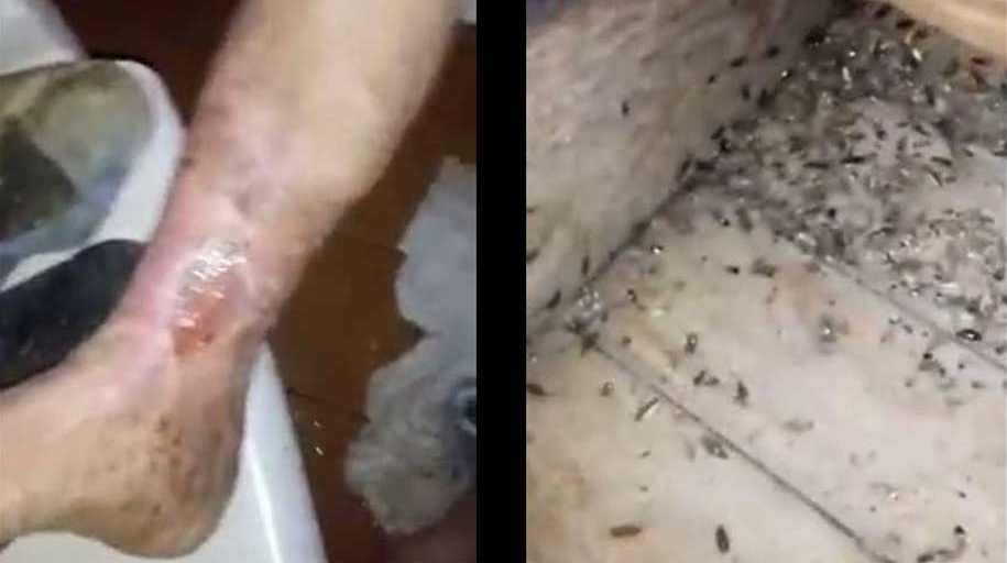 Cucarachas, abandono y desidia en asilo de ancianos de Concepción