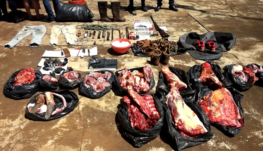 Detienen a “cuatreros” y secuestran armas y más de 100 kilos de carne