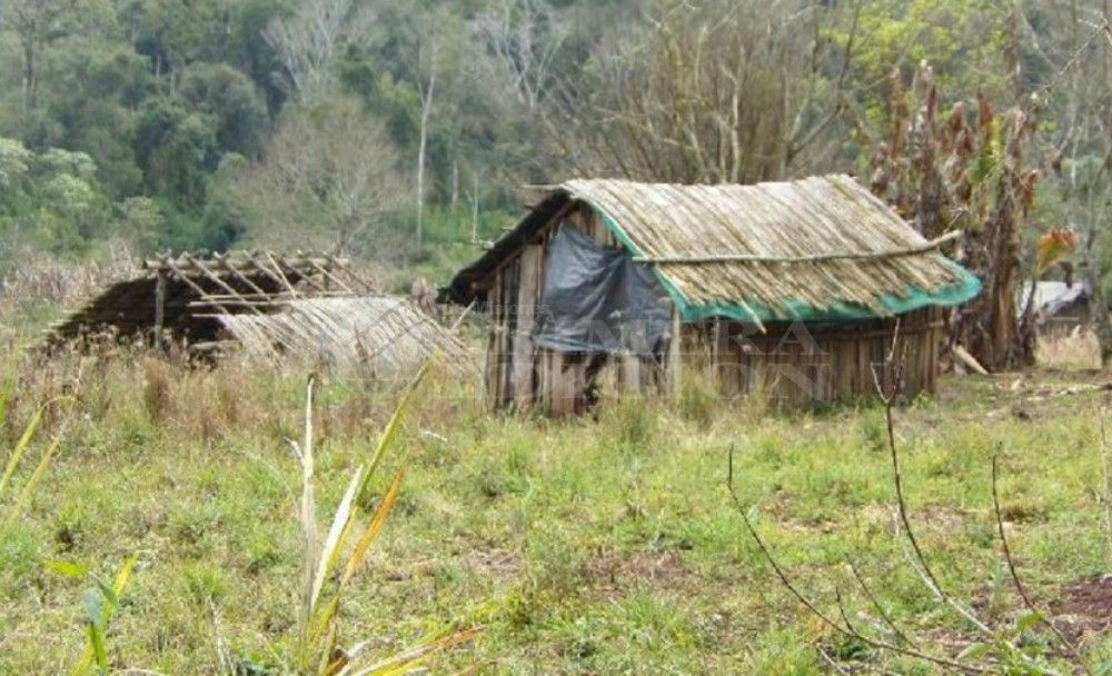Arroyo 9: se necesitarán 20 años para recuperar el monte arrasado