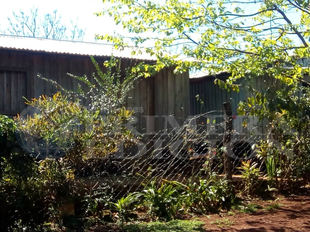 Vecinos del barrio Primavera preocupados por la provisión de agua