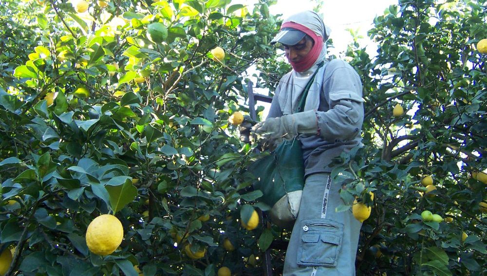 Preocupación de la UIA por las economías regionales