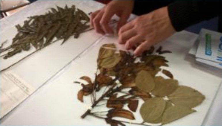 Kermés Científica en la Plaza 9 de Julio