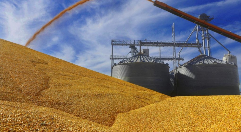 Retenciones al agro: respaldos y descontento