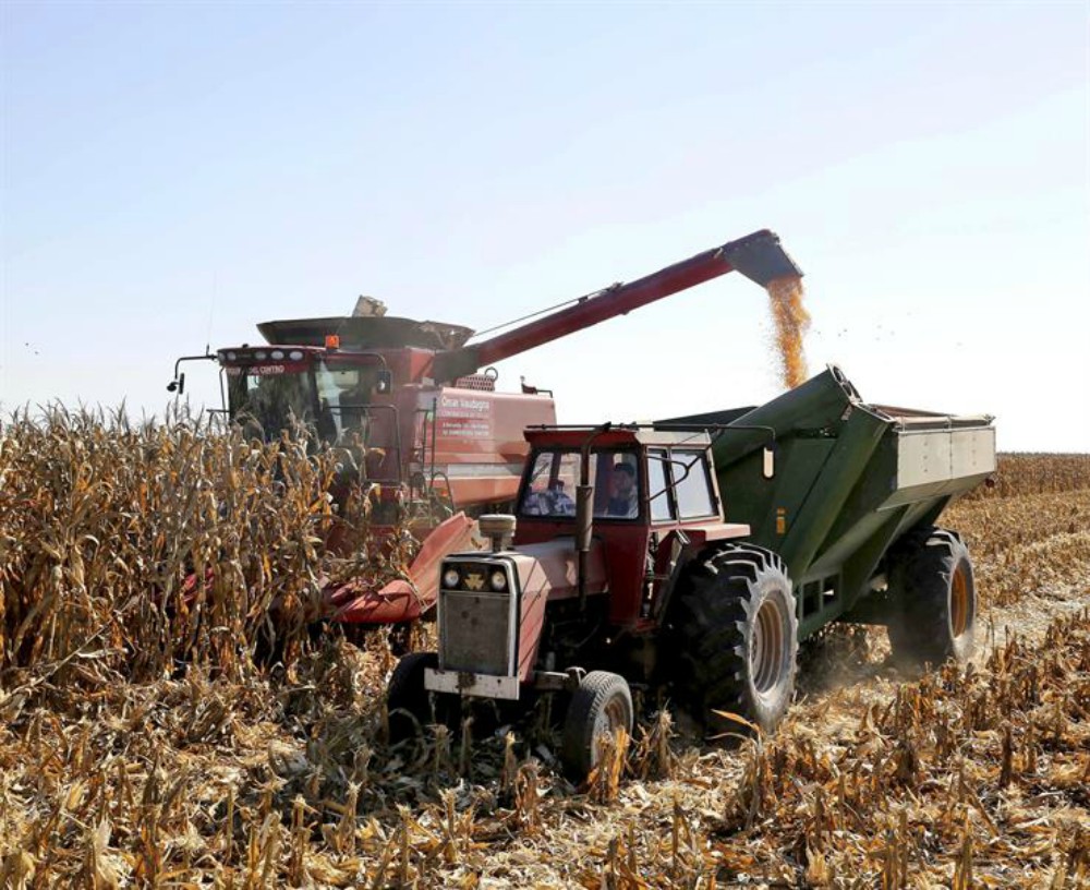 El impacto del dólar en las distintas actividades