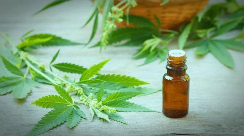 Misiones adhirió a la Ley Nacional del Uso Medicinal del Cannabis