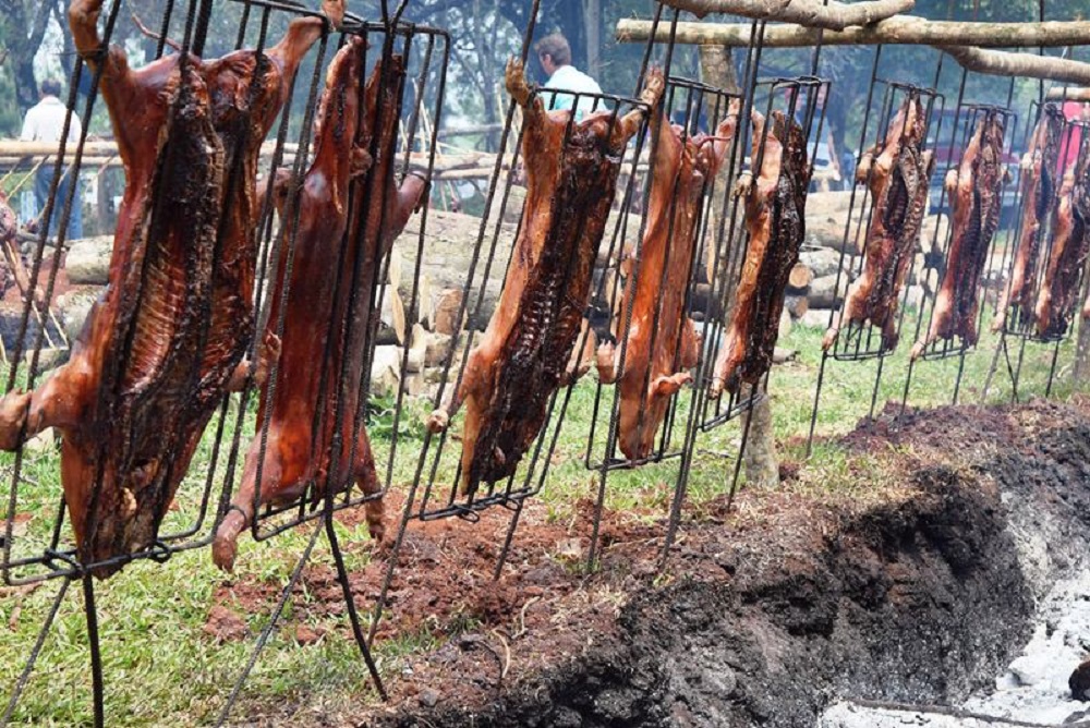 Todo listo para la 5ta edición de la Fiesta Provincial del Lechón