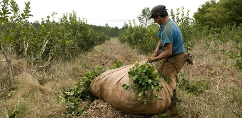 Tareferos levantaron el corte de la ruta 14