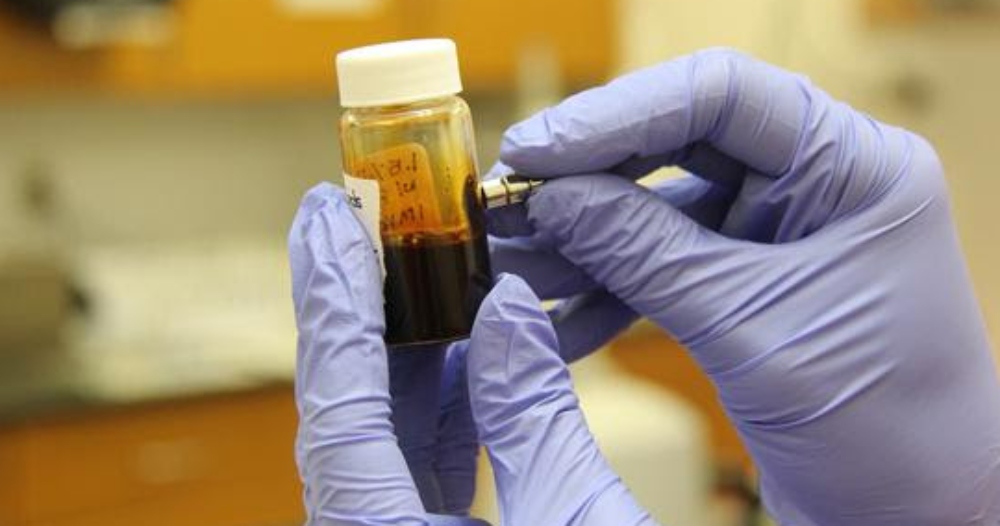 Se podría tratar la insuficiencia cardíaca a partir del uso células madre