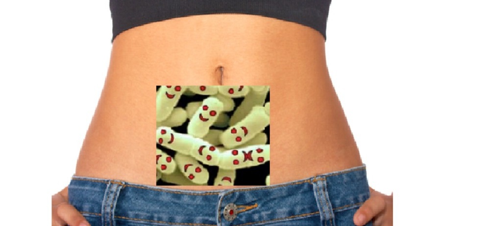 Cómo absorbemos lo que comemos