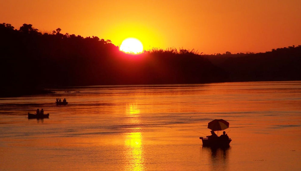 El pique: buenas bogas y dorados