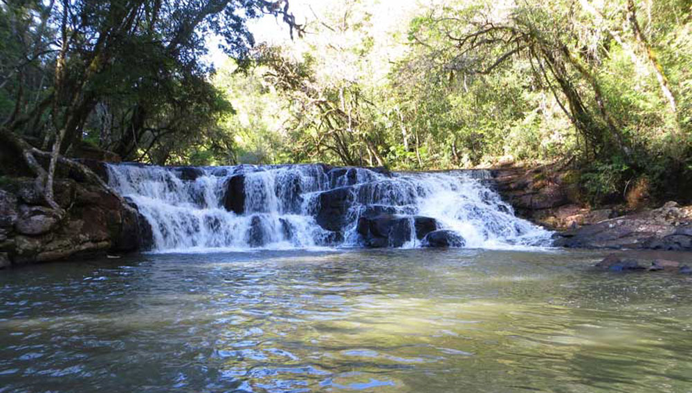 Empresas ratificaron interés por ampliar rutas a Misiones