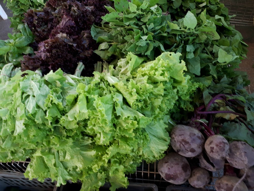 Ofertas en el Mercado Concentrador de Posadas