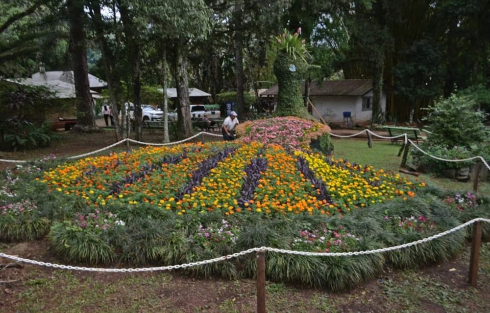 Buenas expectativas en Misiones de cara a este fin de semana largo