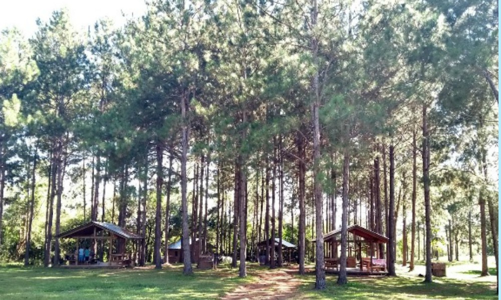 Estudiantes eldoradenses podrán hacer recepciones