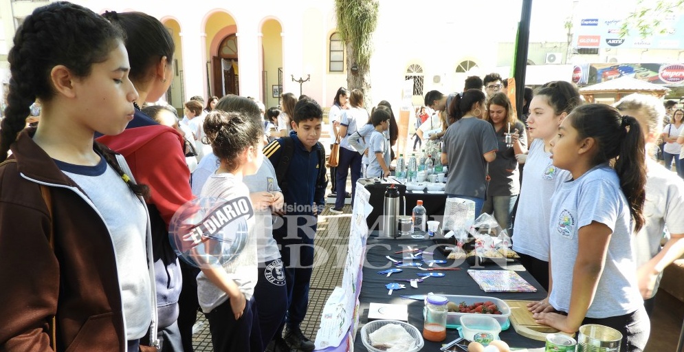 Feria de alimentación saludable para afianzar nuevas costumbres