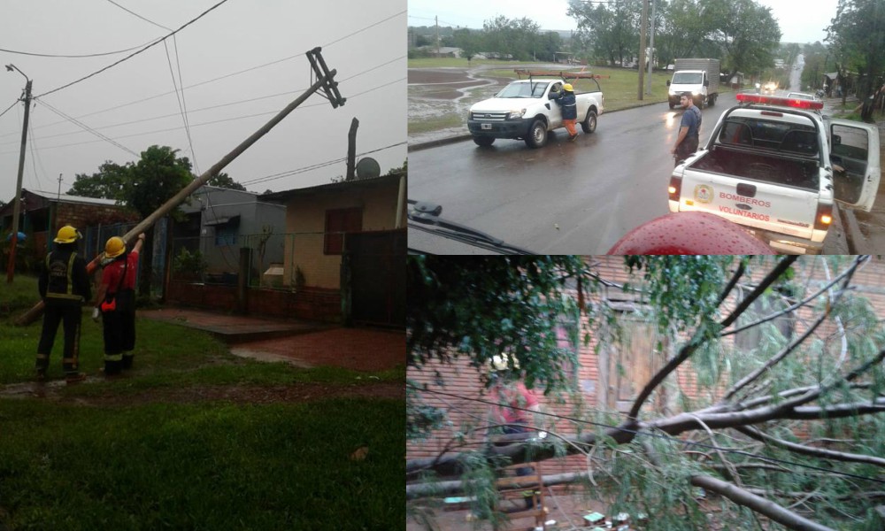 La tormenta dejó árboles y postes caídos en Puerto Iguazú