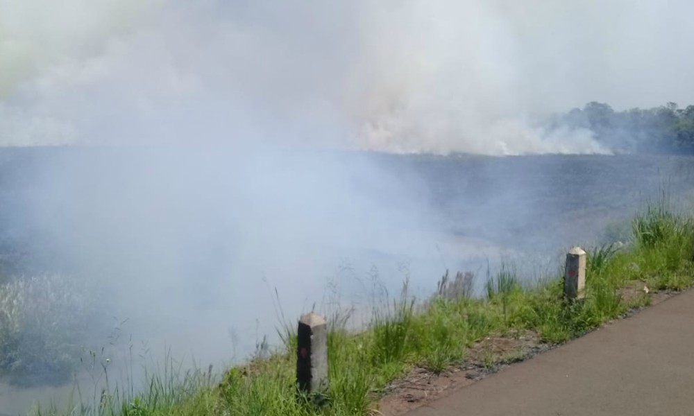 Bomberos sofocan incendio en la Reserva Urutaú